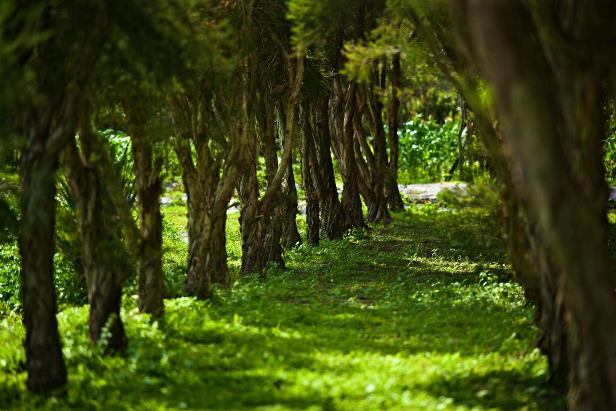 Gaeavilla Resort Ji'an Εξωτερικό φωτογραφία